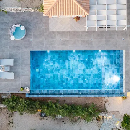 فيلة Anemone Mousata